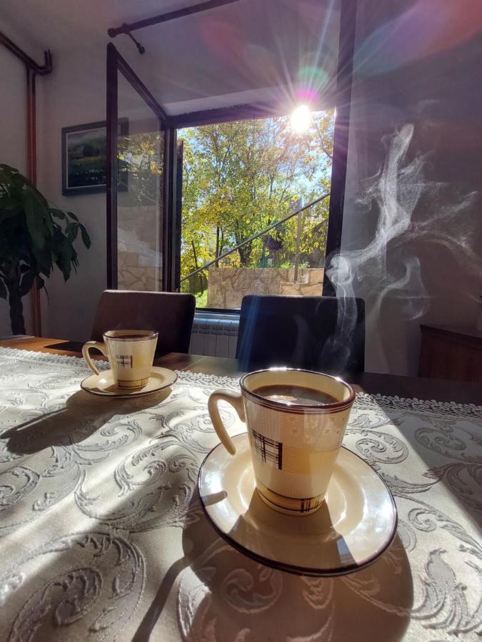 Holiday Home Milanovic ツェティニェ エクステリア 写真