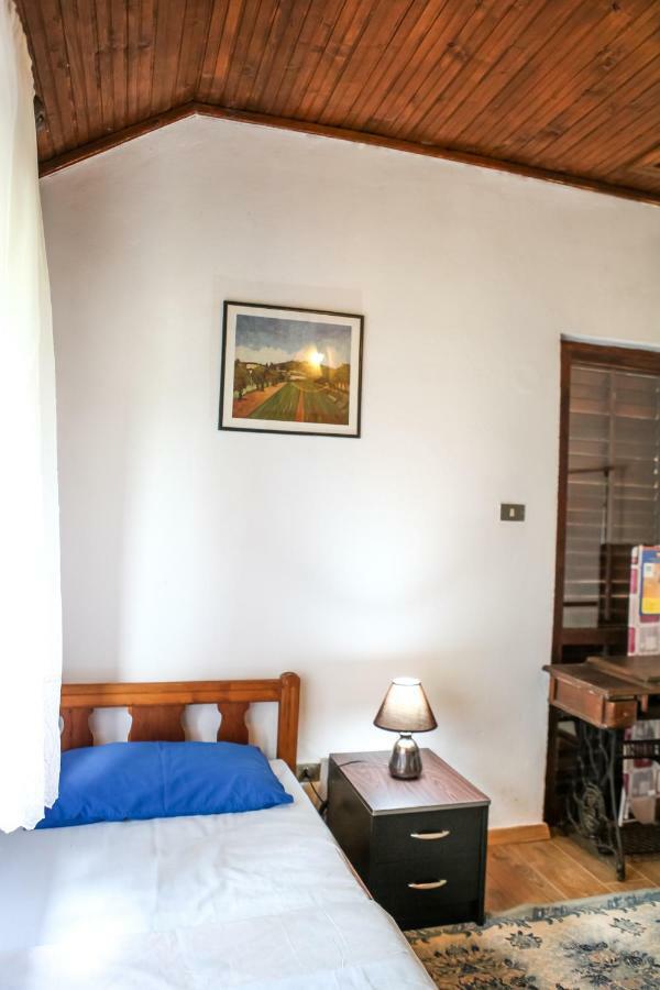 Holiday Home Milanovic ツェティニェ エクステリア 写真